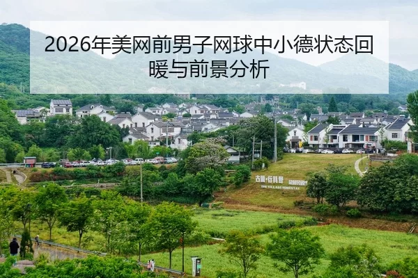 nian-mei-wang-qian-nan-zi-wang-qiu-zhong-xiao-de-zhuang-tai-hui-nuan-yu-qian-jing-fen-xi-2-679.jpg
