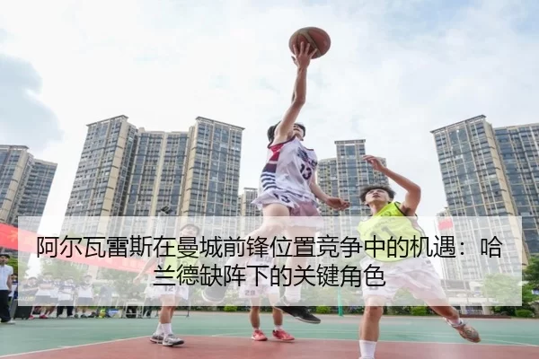 a-er-wa-lei-si-zai-man-cheng-qian-feng-wei-zhi-jing-zheng-zhong-de-ji-yu-ha-lan-de-que-zhen-xia-de-guan-jian-jue-se-2-984.jpg