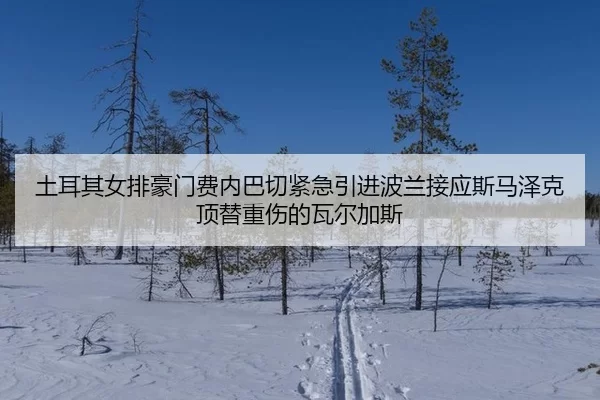 tu-er-qi-nv-pai-hao-men-fei-nei-ba-qie-jin-ji-yin-jin-bo-lan-jie-ying-si-ma-ze-ke-ding-ti-zhong-shang-de-wa-er-jia-si-2-406.jpg