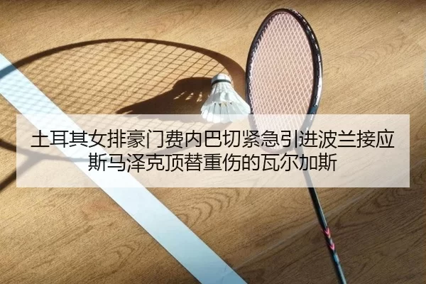 土耳其女排豪门费内巴切紧急引进波兰接应斯马泽克顶替重伤的瓦尔加斯
