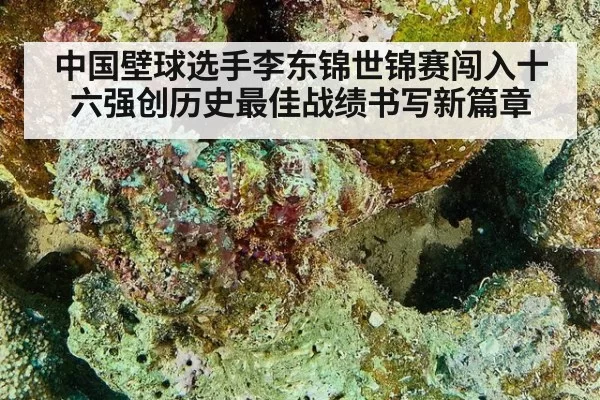 中国壁球选手李东锦世锦赛闯入十六强创历史最佳战绩书写新篇章