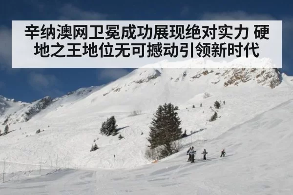 辛纳澳网卫冕成功展现绝对实力 硬地之王地位无可撼动引领新时代
