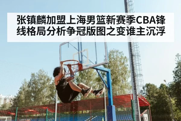 张镇麟加盟上海男篮新赛季CBA锋线格局分析争冠版图之变谁主沉浮