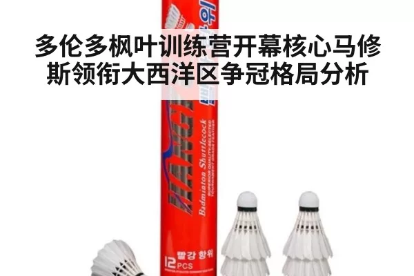 多伦多枫叶训练营开幕核心马修斯领衔大西洋区争冠格局分析